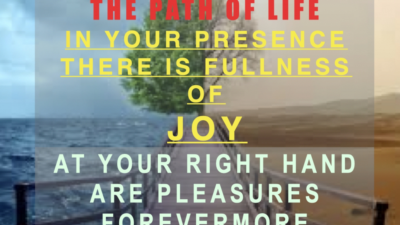 JOY.001
