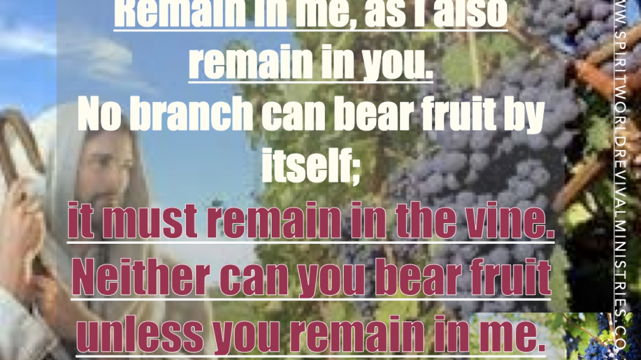 Connected to the Vine