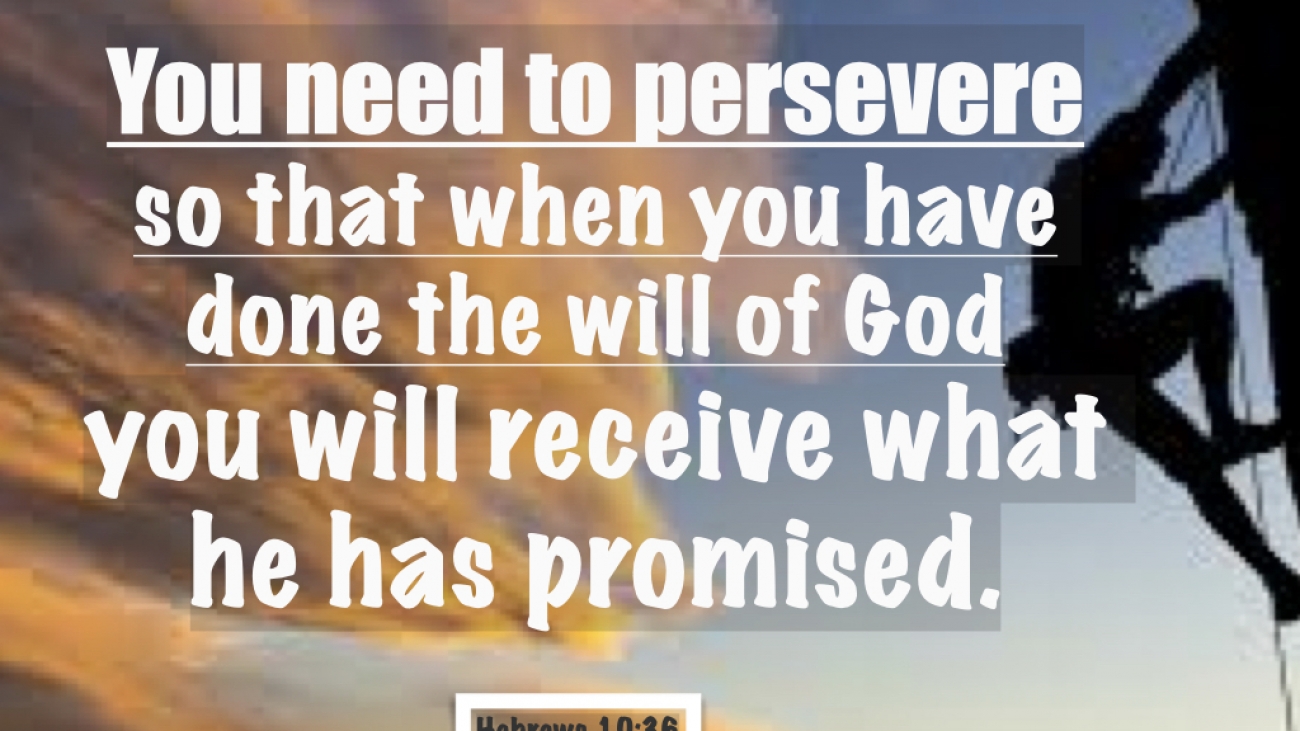 persevere.001