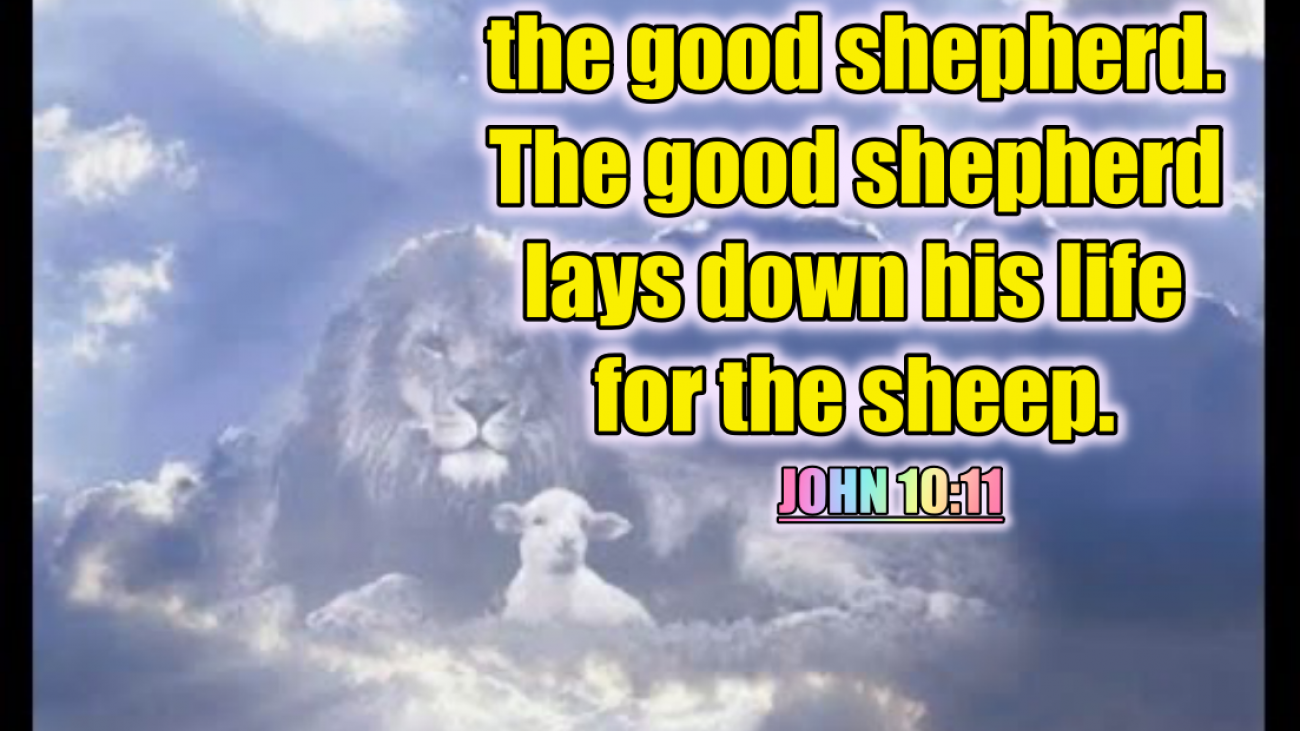 good shephard