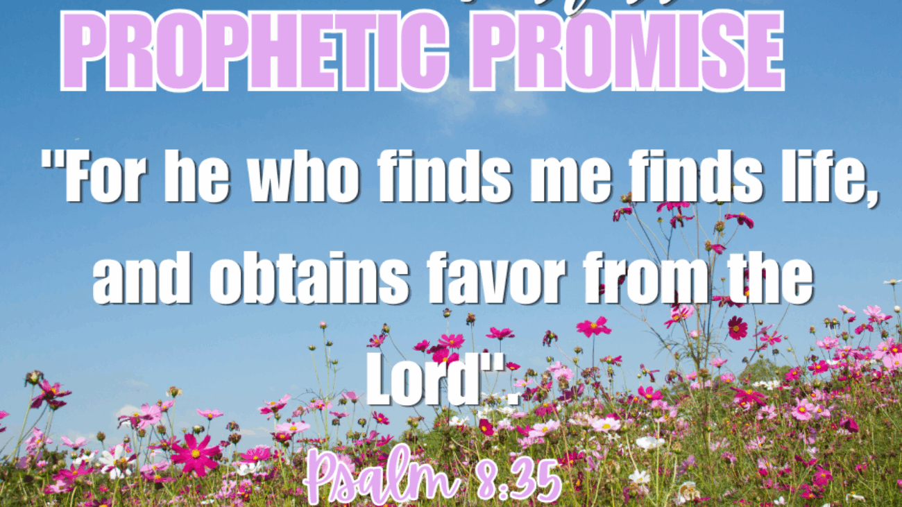 Favour3